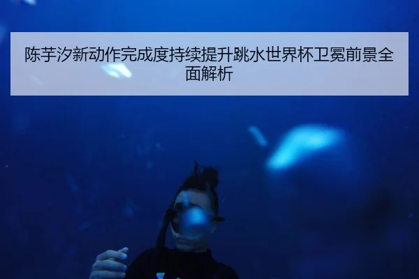 陈芋汐新动作完成度持续提升跳水世界杯卫冕前景全面解析