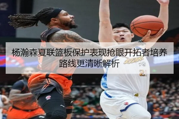杨瀚森夏联篮板保护表现抢眼开拓者培养路线更清晰解析