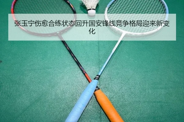 张玉宁伤愈合练状态回升国安锋线竞争格局迎来新变化