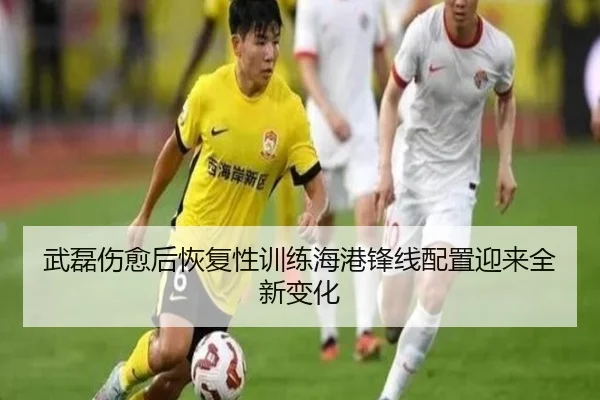 武磊伤愈后恢复性训练海港锋线配置迎来全新变化